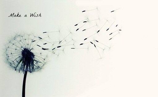 If only these came true...