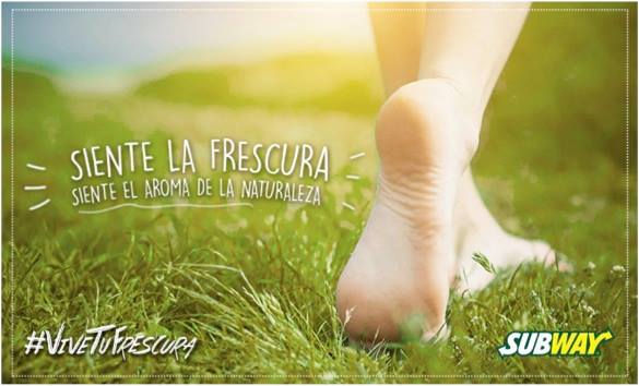 SubwayPzo's tweet photo. ¡Los fines de semana te esperamos en la #TorreColón y en #CaroníPlaza con Wi-Fi libre y tus vegetales favoritos, de 8:00am a 9:00pm! https://t.co/0QFVIU1ML2