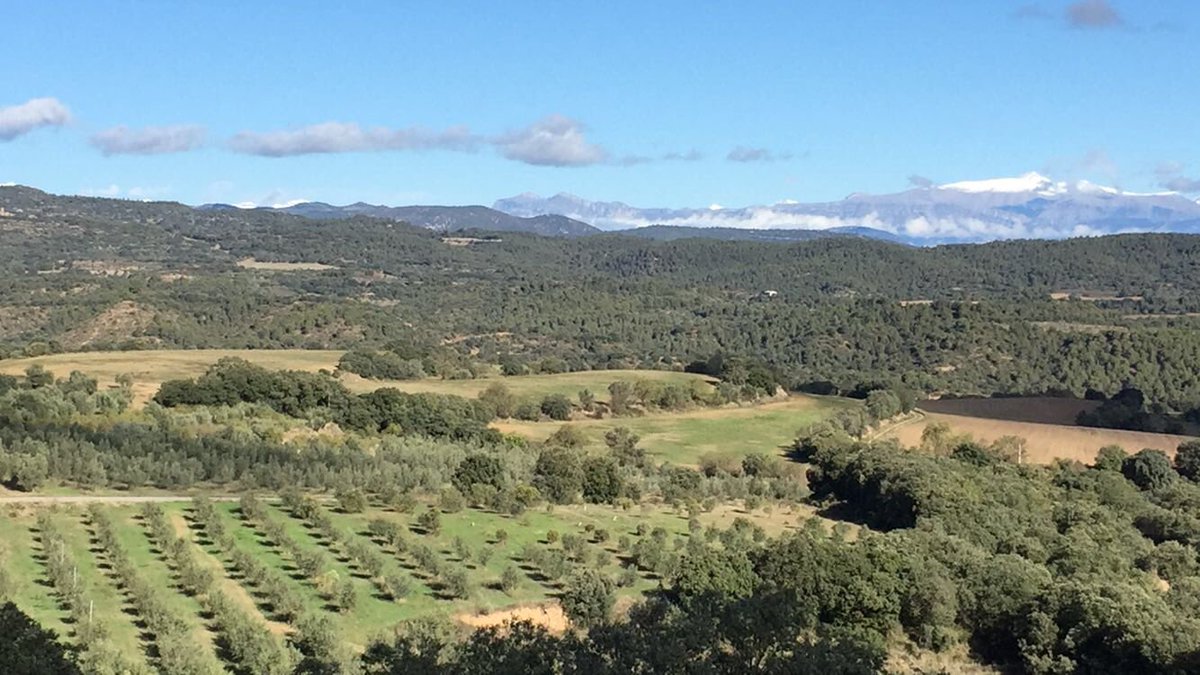 ecostean's tweet photo. Ya tenemos nieve en Cotiella!! Vista desde nuestra finca aniguala https://t.co/uVdsCLbpER