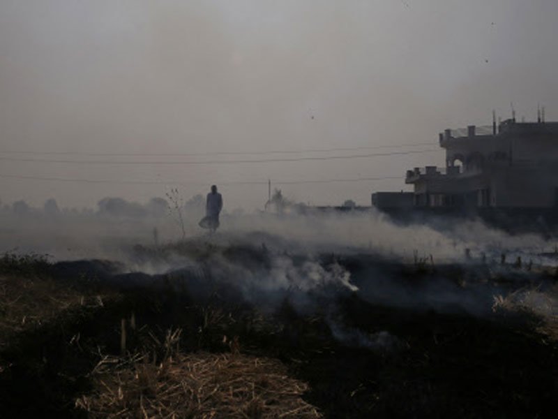 Crop fires had 70% share in Delhi’s peak air pollution, says govt scientist Gufran Beig
toi.in/eklZ3a