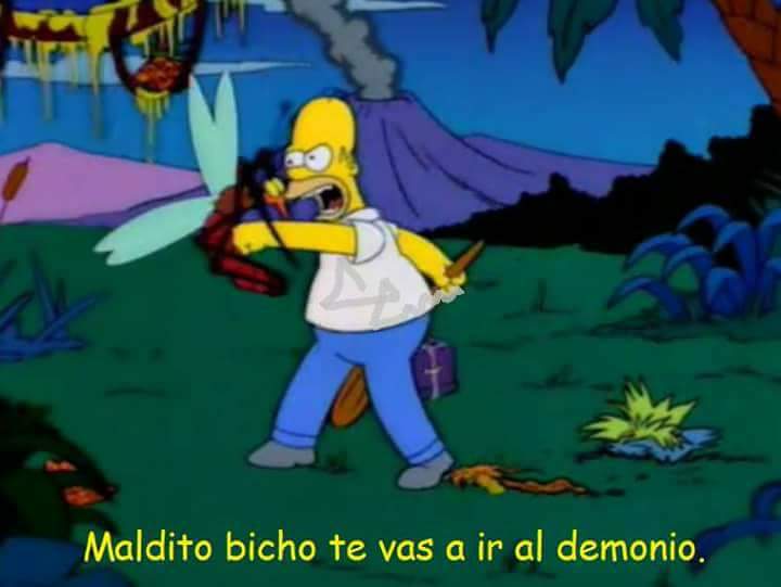 LucianoOlmos's tweet photo. Porqué odio el verano.... https://t.co/sVvoa90YDf