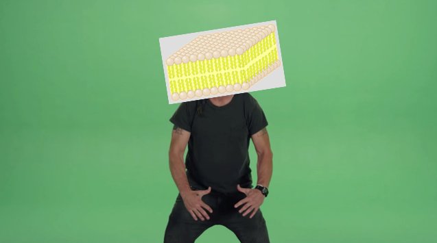 PlasmaGuard21_8's tweet photo. DO IT JUST DO IT DON'T LET YOUR DREAMS BE DREAMS VOTE CELL MEMBRANE YEAH BOIIIIIIIIIIIIIIIIIIIIIIIIIIIIIIIIIIIIIIIIIIIIIIIIIIIIIIIIIIIIIIIII https://t.co/622yEq10Hq