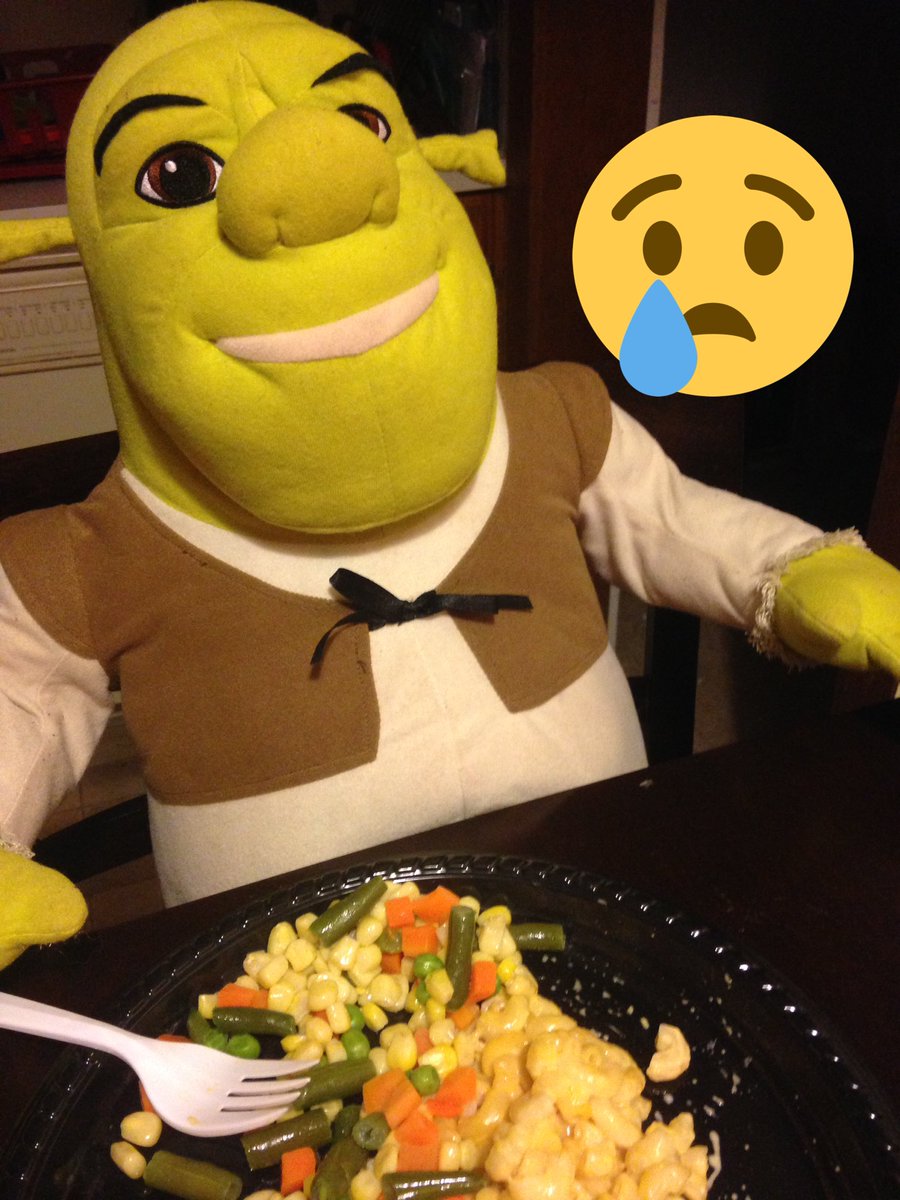 ShrekPoops's tweet photo. I'm on a diet today it lasts for a month 😭 #dietshrek #diet https://t.co/qaCROz7XUD