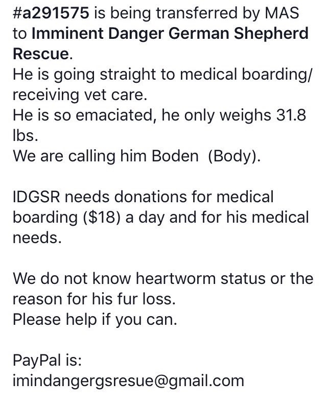 reddogsusie's tweet photo. 🆘🆘🆘MAX IS SAFE FROM MAS! Donations needed for vet care! Pls read &amp; donate if you can!🙏
https://t.co/ydB65Mcf7p https://t.co/yb5PkYfVxo