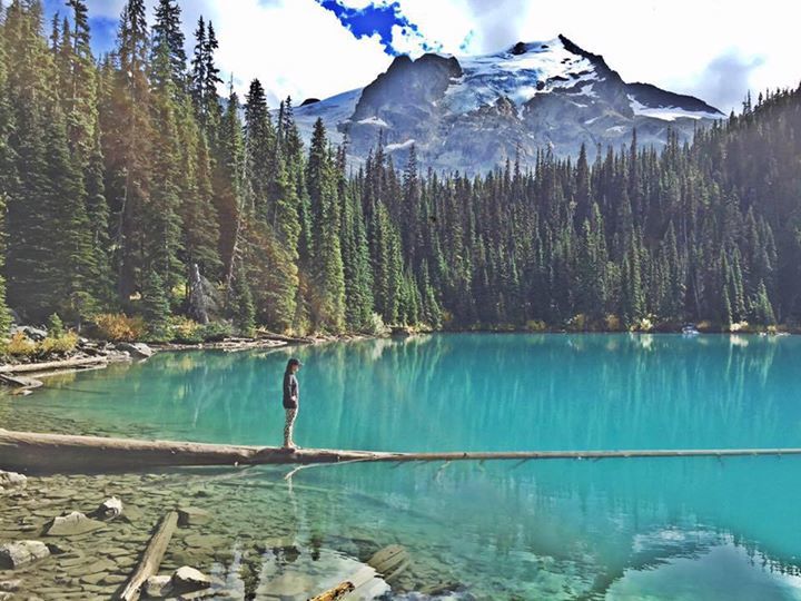 RealTapioca's tweet image. via Facebook bit.ly/2fMUUIu