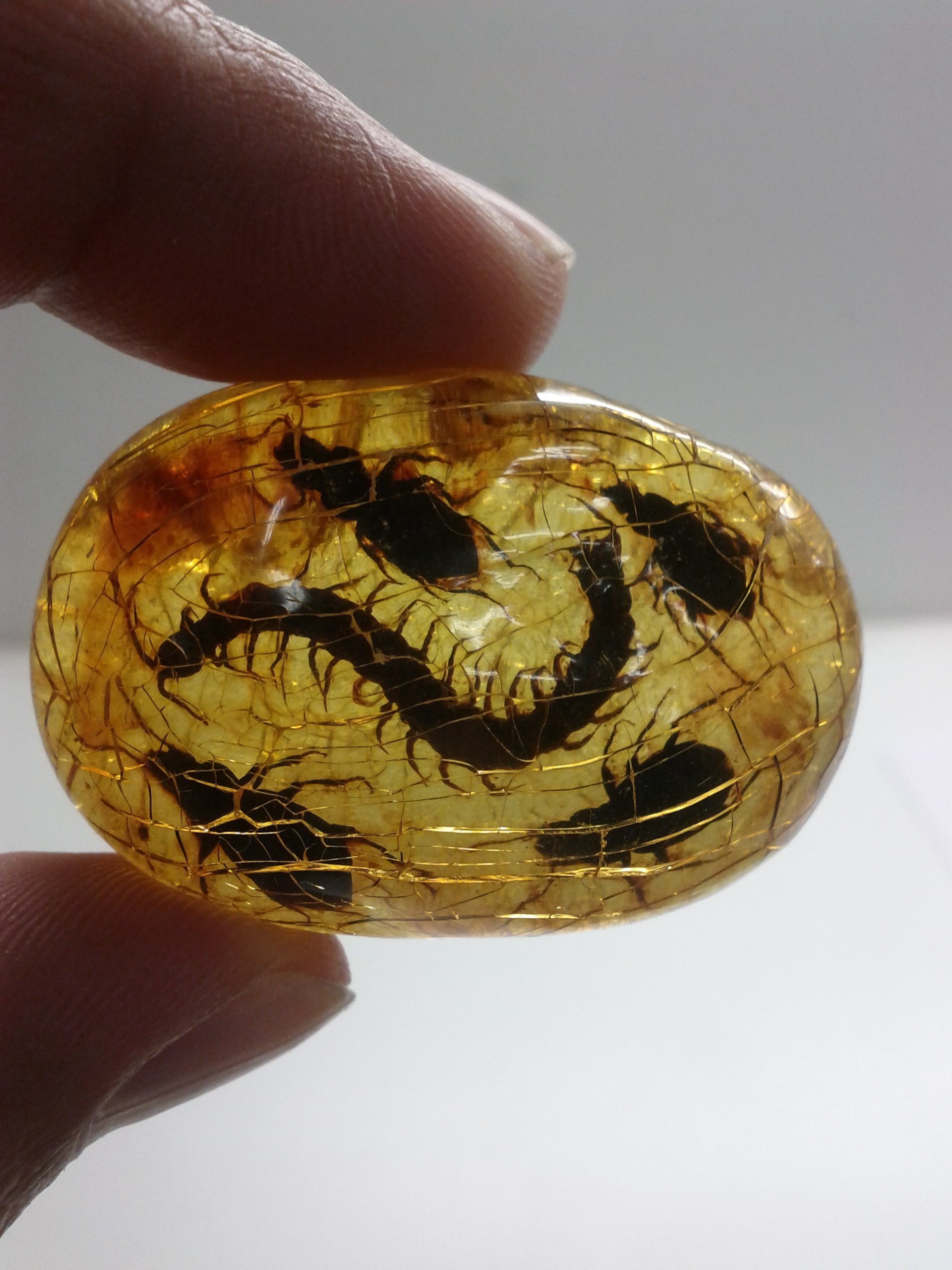 Kauri 2024 gum jewellery