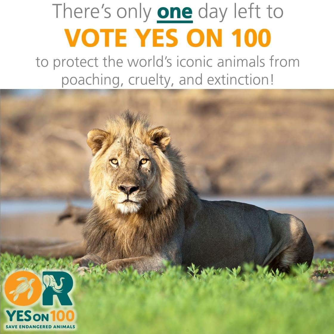 Save Animals Oregon tweet media