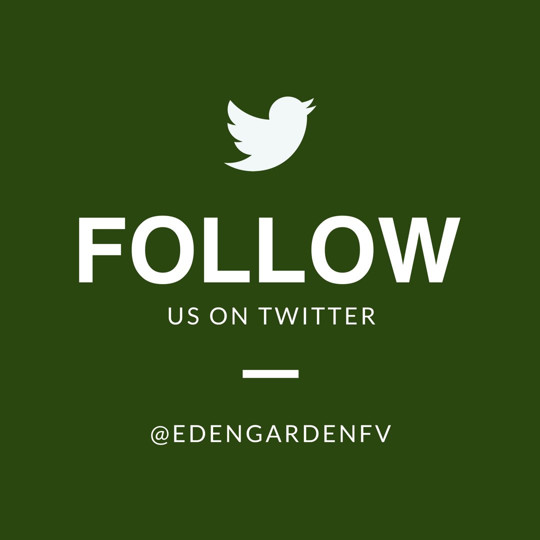 edengardenfv's tweet photo. Follow us on Twitter!  #TheFunIsOnTwitter #FollowUs #AlsoOn #Facebook #Instagram #EdenGarden #Mississauga https://t.co/dCWoGXFSwa