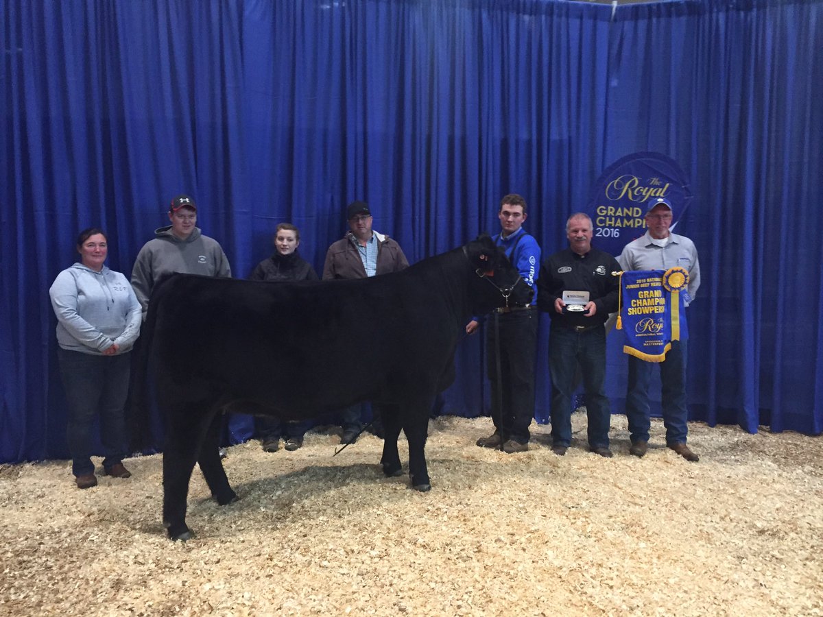 RailLineFarms's tweet photo. Great week at the Royal! Huge congratulations to Brad for winning Grand Champion Showperson at the #NJBHS #RAWF16 https://t.co/Ij6MX8XSIj
