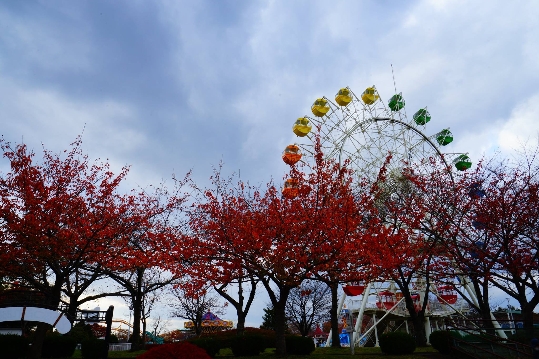 Visitはちのへ 晩秋の八戸公園 こどもの国は 紅葉 が綺麗でした こどもの国は 11月6日 日 で今期の営業を終了 青森県内の貴重な遊園地 来年春のオープンが今から待ち遠しいです こどもの国