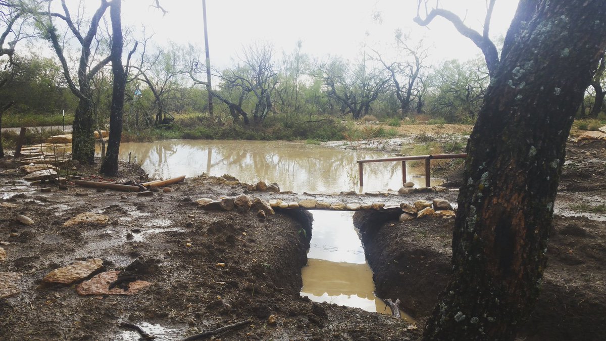 BatBoi88XXX's tweet image. Had a Beautiful Rain Today!!🌧🌧⛆⛆ #PondsAreFull 1 1/2" in Hour!! #Blessed🕉⛆⛆