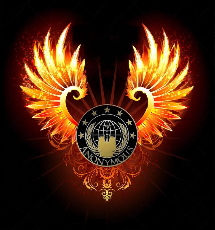 DaeshRCowards's tweet photo. #Anonymous #OpHillary If you have the Video & don't want to face consequences I will meet on IRC Give access to my site for DL. I will Flood https://t.co/FLCOCaTNpB