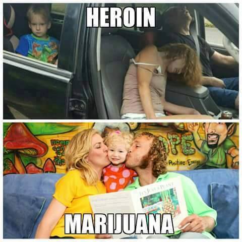 tedsmarijuana's tweet photo. When it comes to Schedule-I substances, #Cannabis is NOT like the others... https://t.co/2kjbGgTrje
