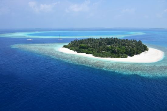 EvolutionTravel's tweet photo. Hai sempre sognato un viaggio alle #Maldive? Ecco un'OFFERTISSIMA da non perdere https://t.co/opiO4lQJaH https://t.co/n3hD3Zwtom