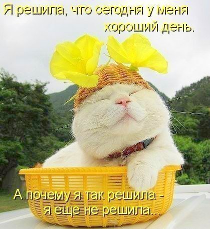 Лабиринт слов (@logomaze) on Twitter photo 