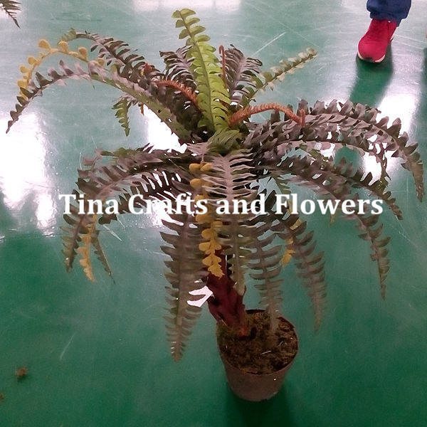 weitang123's tweet photo. #exportartificialflower Everlasting green tree, really real looking
Contact Us: tina@tinacraftsandflowers.com
#expo… https://t.co/KsjA1oBgMm