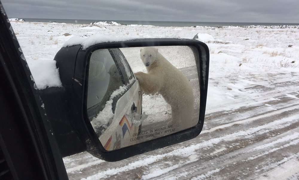 rcmpmb's tweet photo. Objects in mirror are closer than they appear! Just a typical #rcmpmb patrol in Churchill during Polar Bear season. #MBMonday https://t.co/qNfBqgC37E
