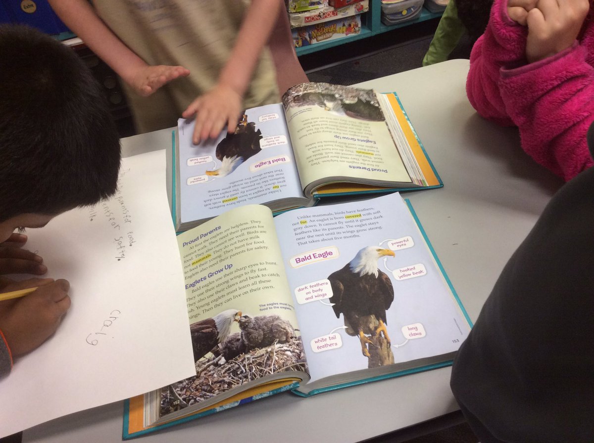 Expert groups prepare to share out key details. @Thestar512