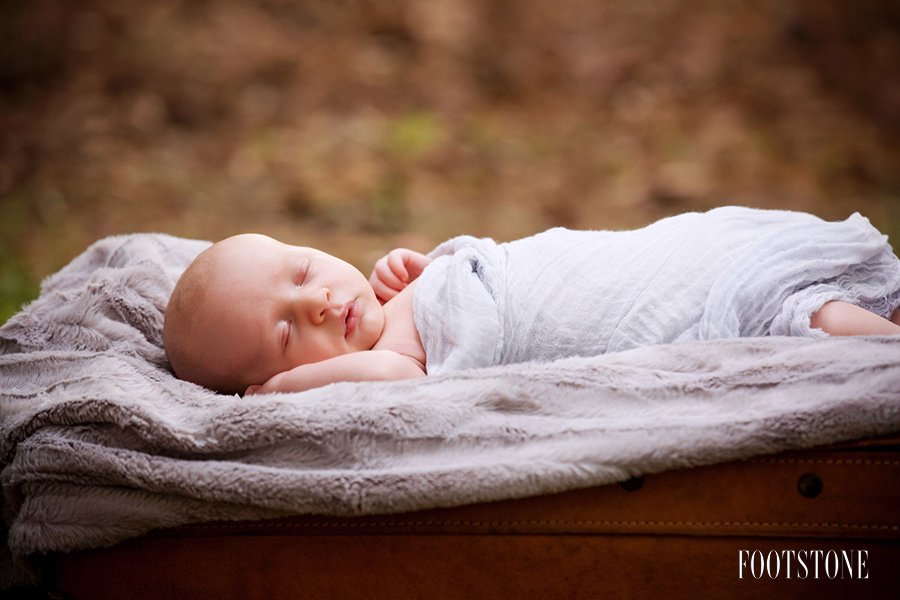 FootstonePhotography tweet media