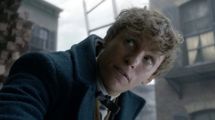 YahooEnt's tweet photo. Eddie Redmayne pulls off a sleight-of-wand in this clip from @FantasticBeasts: https://t.co/K49sb9u0mr https://t.co/W3nF5L0qdx