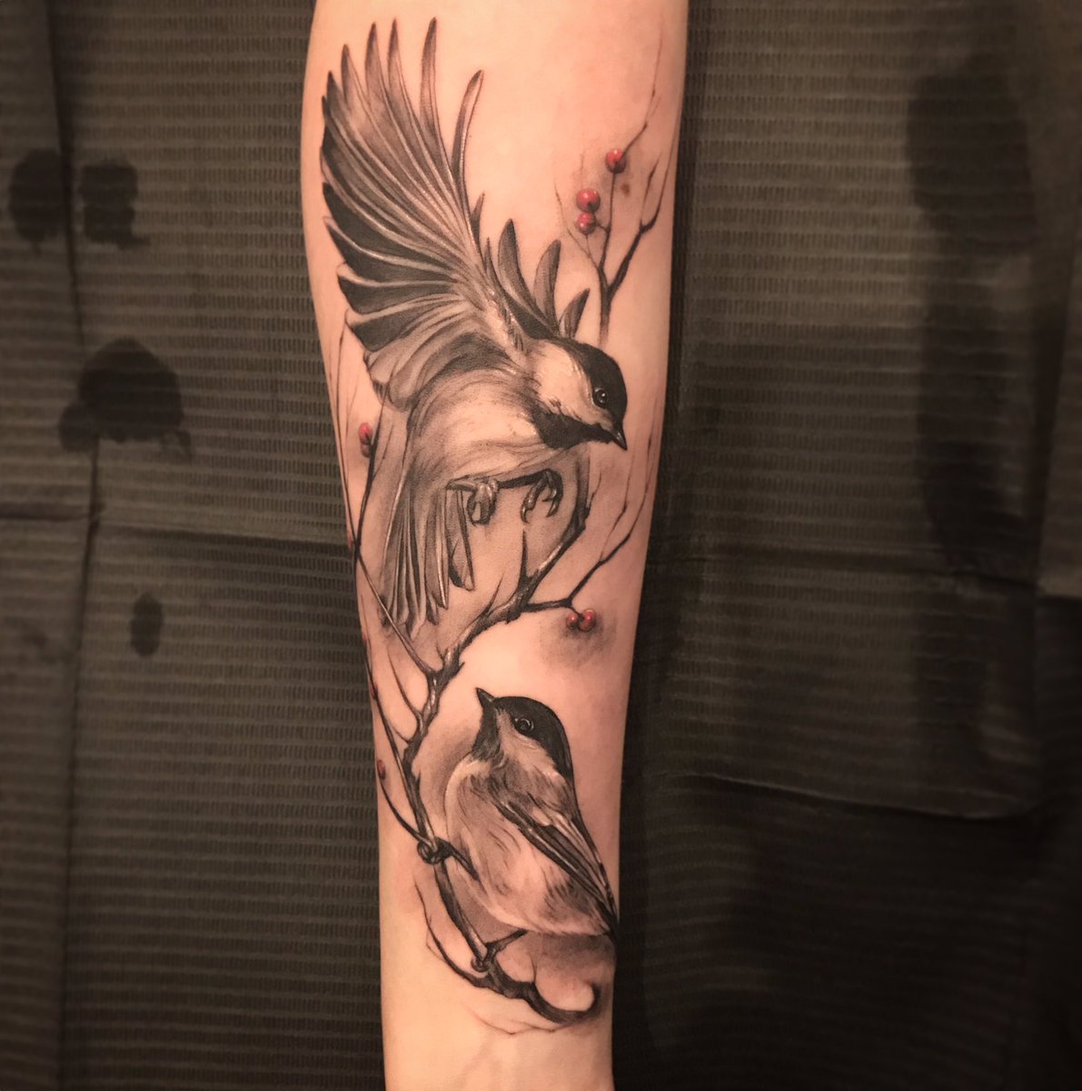 HighVoltageTat's tweet photo. More awesome birds today - some beautiful chickadees on a branch by Mikey. https://t.co/guqPm88VxO