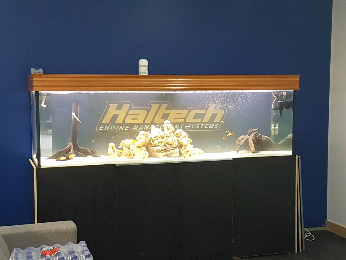 Trinity_Msports's tweet image. When @HaltechECU Haltech ECU can run more then automotive! Thanks for the hookups #haltechecu #trinitymotorsports