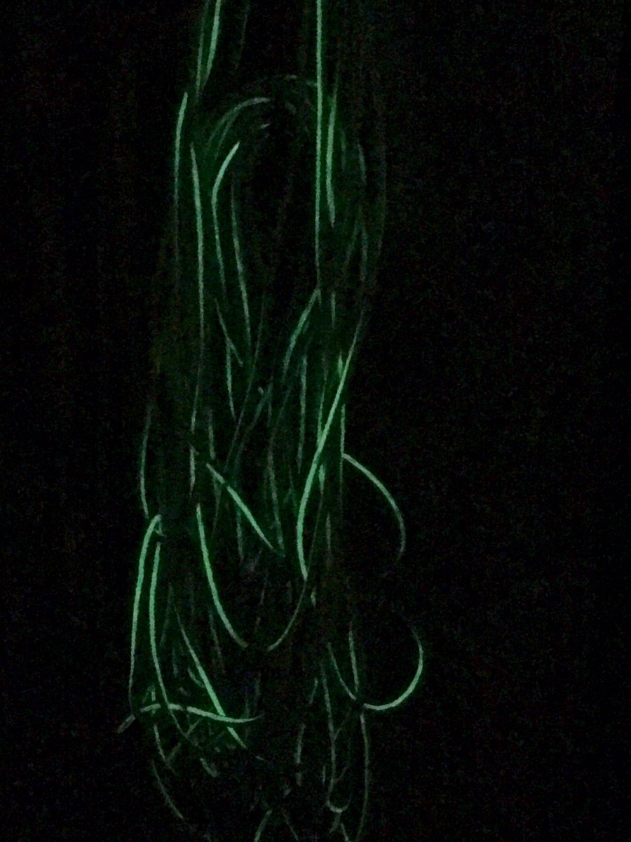 theagbuilder's tweet photo. I have to admit I have never seen this .Glow in the dark #extensioncords... just happened to notice this as I was leaving shop #flexilla https://t.co/47kHxXVtqn