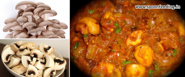 AccessIndiaTour's tweet photo. Mushroom Nutrition Facts, Health Benefits of #Mushrooms &amp; Mushroom Recipes: #OysterMushrooms
#MushroomNutritionFacts
https://t.co/TcdDpB8Sj4 https://t.co/55ypveRezS