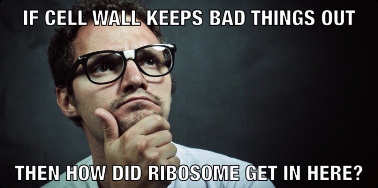 apbionucleolus's tweet photo. @oficialRibosome #organelleelection2016 https://t.co/KAVnCeqvaF