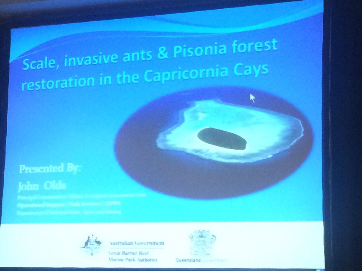 Jesse_84's tweet photo. An interesting couple of sessions on #trampants #invasiveants and the best controls. Brings back memories of my time on #fireants #QPAS2016 https://t.co/IO74GFKIrQ