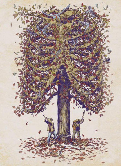 Cuando el último árbol haya sido talado, nos daremos cuenta de que el dinero no se respira
