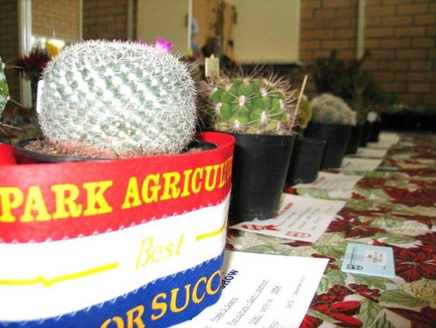 Opas209's tweet photo. Arts, crafts, photography, children’s exhibits, jams, pickles and preserves are just some of the many fantastic categories in the 2016 show. https://t.co/QBkl4aRjHM
