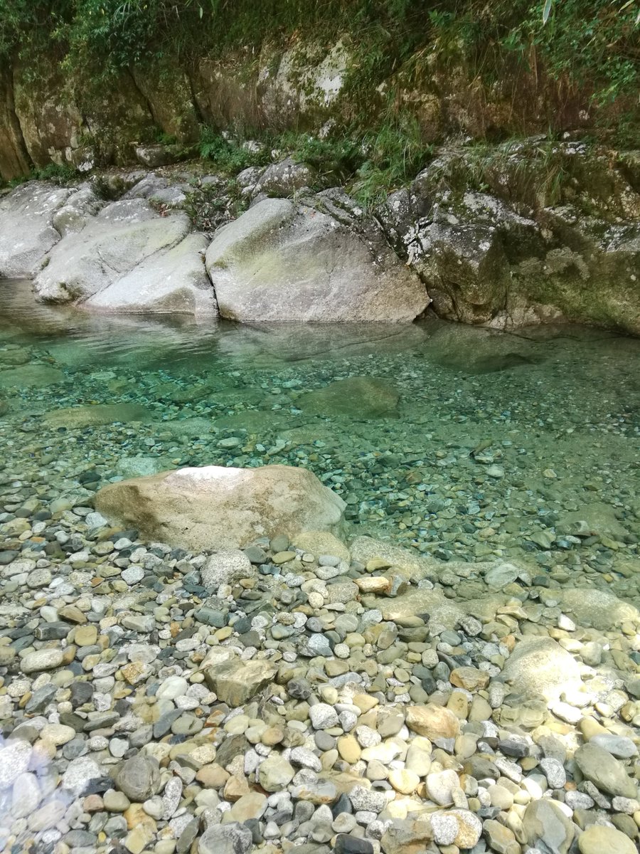 Roymiracles's tweet image. 