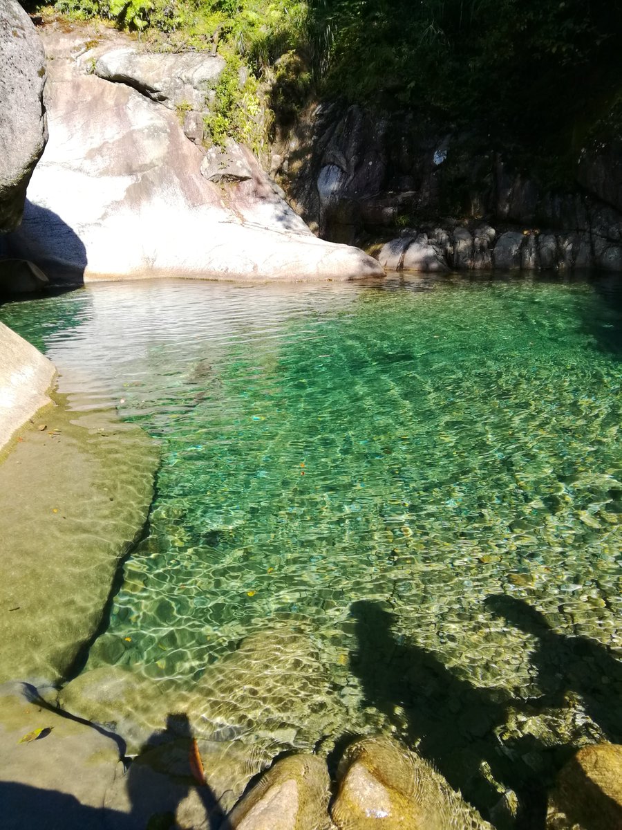 Roymiracles's tweet image. 