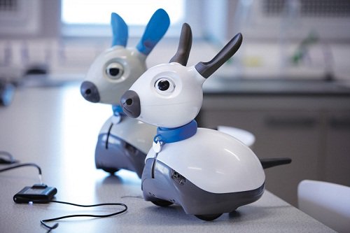 researz's tweet photo. Robots can be the Protector of the Elderly https://t.co/Fc6isJwAgv #miro #roboticdog #SebastianConranAssociates https://t.co/aqGgsWCNhK