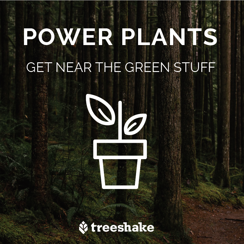treeshake's tweet photo. Did you know that potted plants can boost your productivity by up to 15%? Get some green goodness on your desk! #TreeshakeTips https://t.co/fIRiJK2rKi