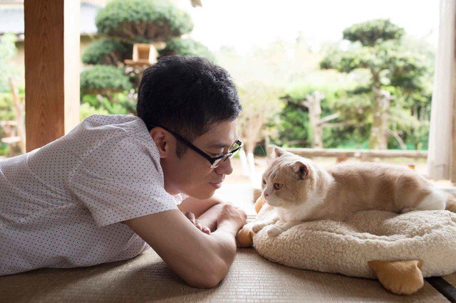 eiga_natalie's tweet photo. ゲームアプリ「ねこあつめ」伊藤淳史主演で映画化、スター猫も多数登場 https://t.co/He26bbmGQR #ねこ https://t.co/I5QdtgySH9