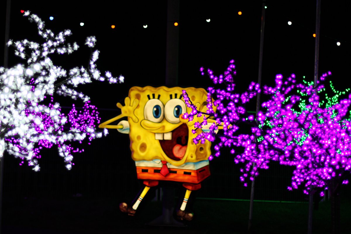 jessdickenson's tweet photo. @HappyAshleyland saw this and thought of you #blackpoolilluminations https://t.co/5JLbarKSFg