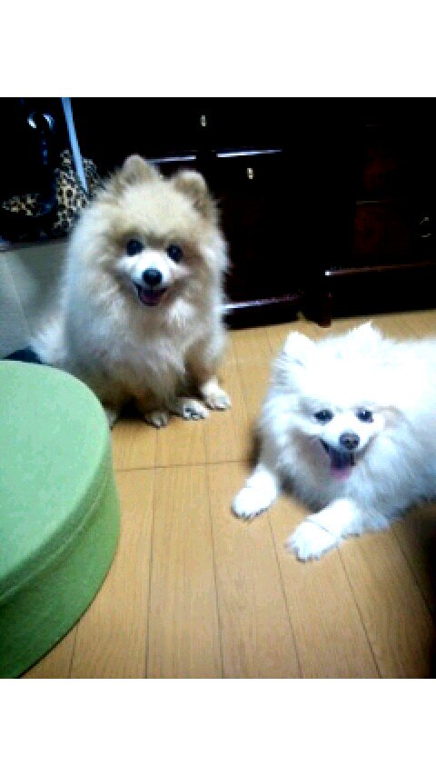 𖧡藤子 tweet media