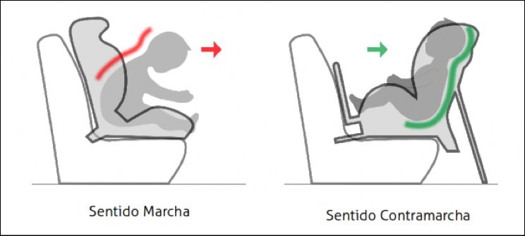 AEP_EnFamilia's tweet photo. La importancia de viajar en sentido contrario a la marcha #contramarcha| EnFamilia https://t.co/LSqkqnYrzK https://t.co/AgHlg6Gexu