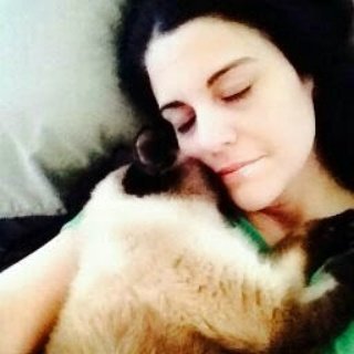 acatnamedchase's tweet photo. @thebigmurf - Oye, guess who my owner is?  Globaltalentspy... https://t.co/vPir3HCREt