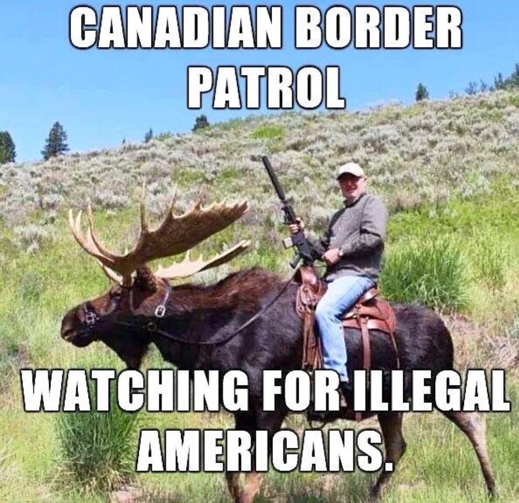 steviusthegreat's tweet photo. #WhatYouDoNotKnowAboutCanada
Border guards patrol on moose. https://t.co/jZqw0DpcKr