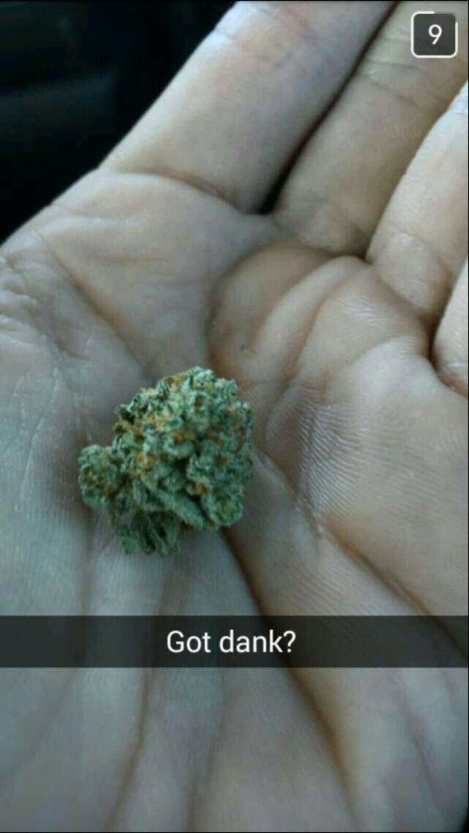 PapaDaddy3rdLeg's tweet photo. Got Dank? #newmeme #gotdank #dankmemes https://t.co/QKG6zTzNOq