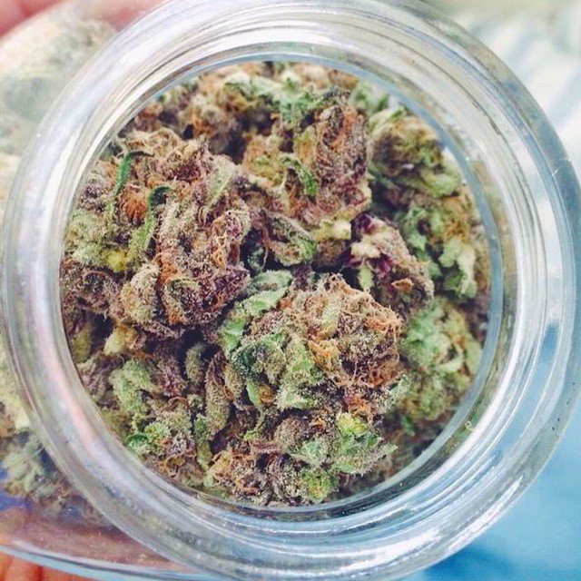 weedweekly_'s tweet photo. https://t.co/MLCwidYfv3