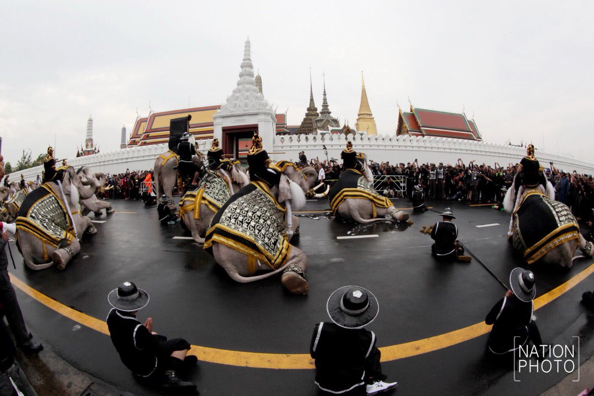 Mesapril's tweet photo. ชอบรูปนี้อ่ะ น่ารักๆ 🐘🐘🐘 https://t.co/zS02Nqj3Xx