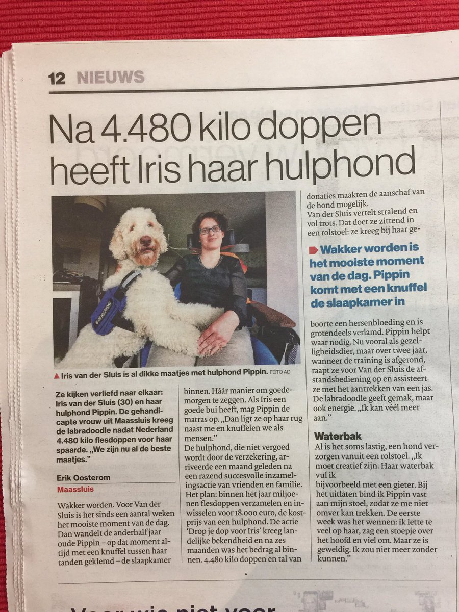 En daarom sparen we op kantoor ook alle doppen op #hulphond #mvo #avance