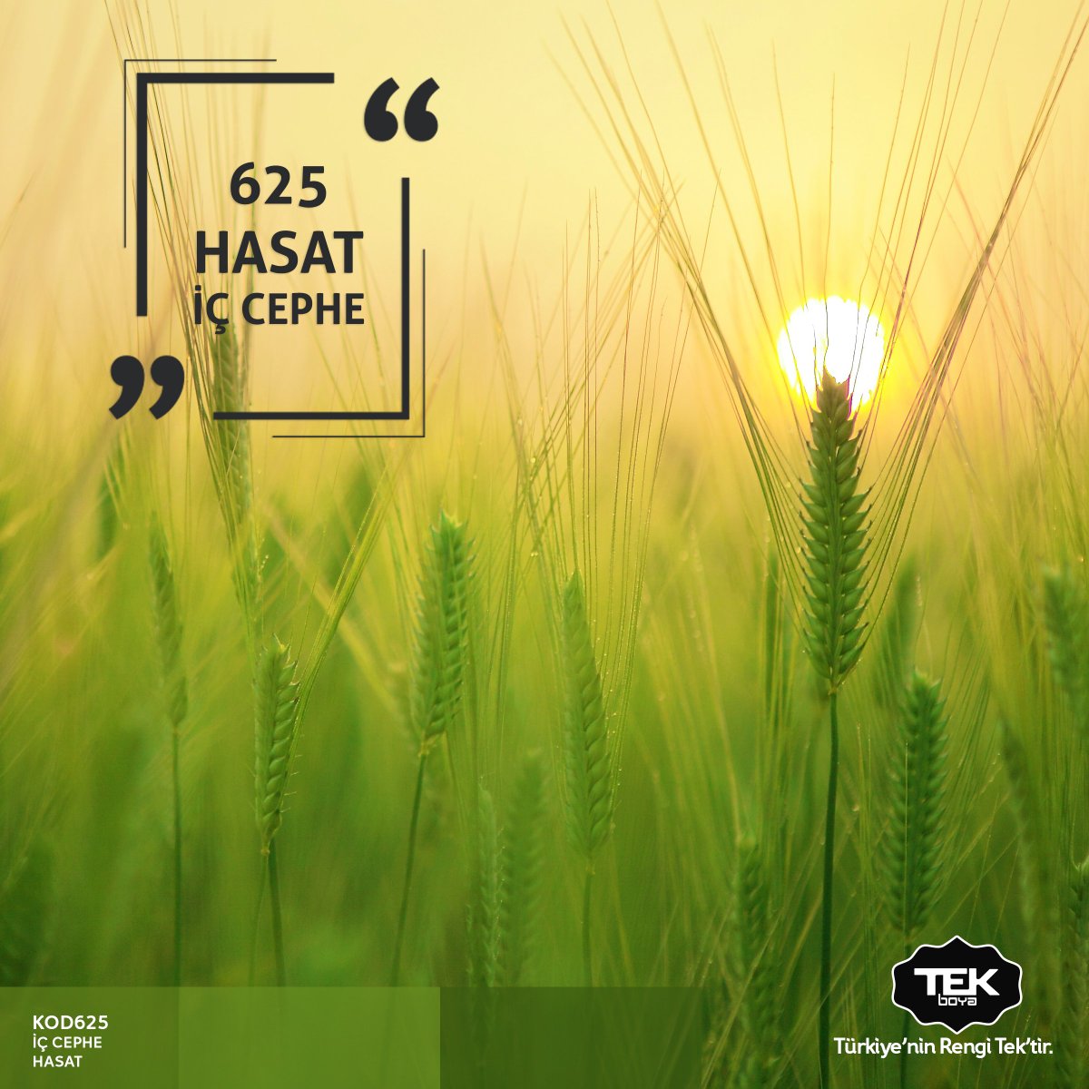 Tek Boya (@tekboya) on Twitter photo 