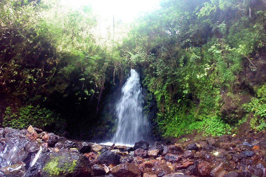 jelajah_garut's tweet photo. Oase di Tengah Padang Pasir
https://t.co/l5hWn2zdJ5 https://t.co/NHNPgobIrO