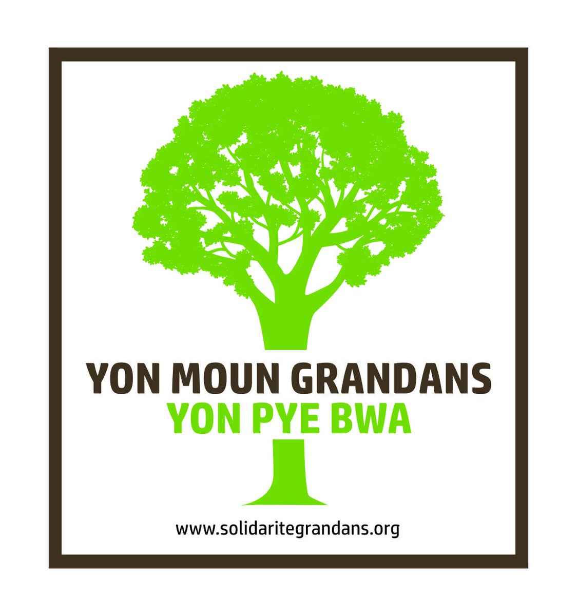 SolidariteG's tweet image. 