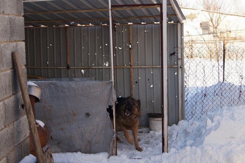 photo: Anton Baeshko. The village Oktyabrsky. Donbass.
